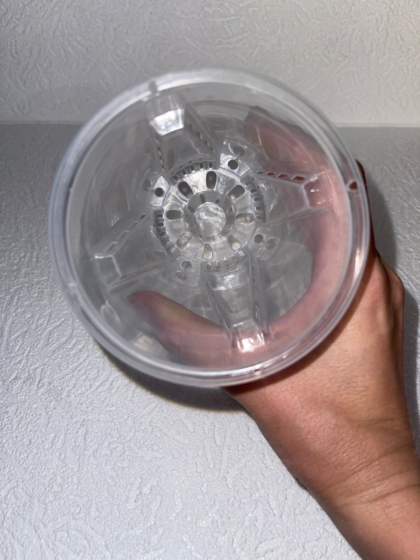 Pots transparents diamètre 10 centimètres