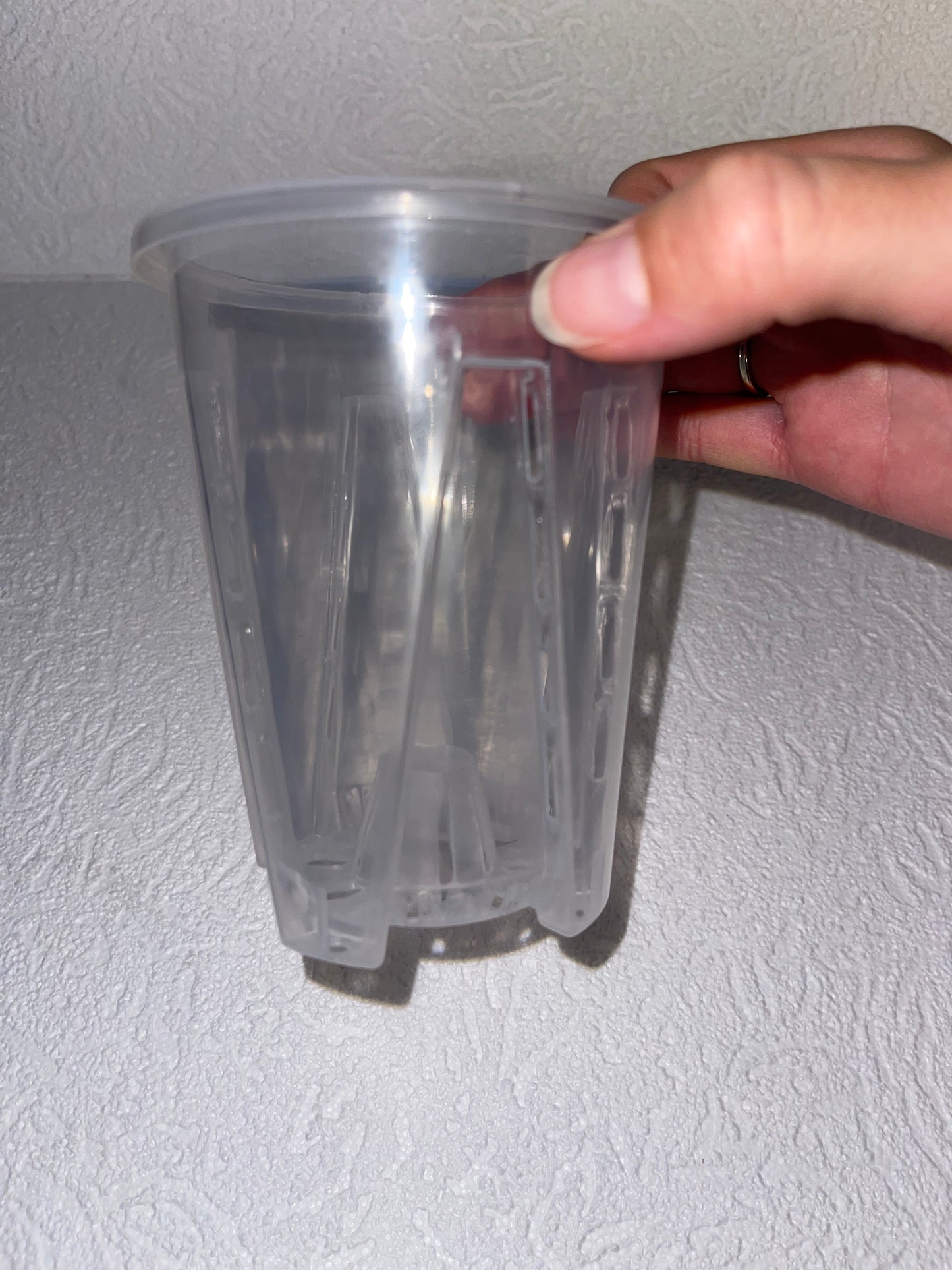 Pots transparents diamètre 10 centimètres