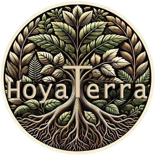 HoyaTerra